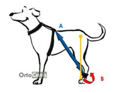 Snímek obrazovky 2023-02-22 225352